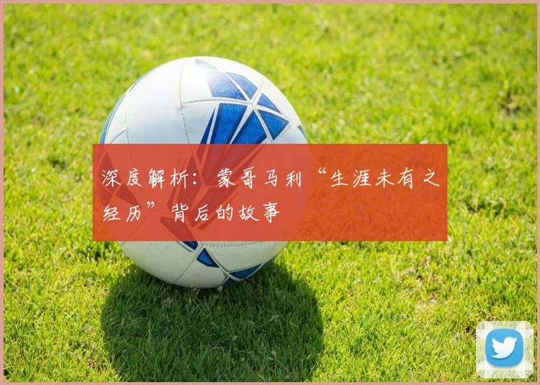 深度解析：蒙哥马利“生涯未有之经历”背后的故事